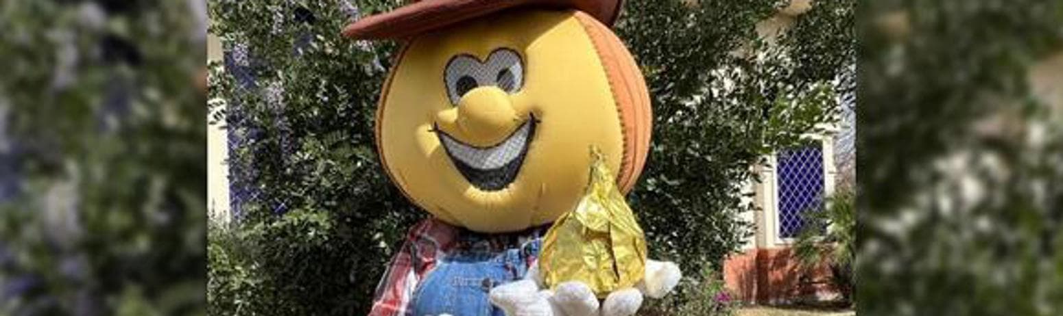 weslaco-to-celebrate-annual-1015-onion-festival