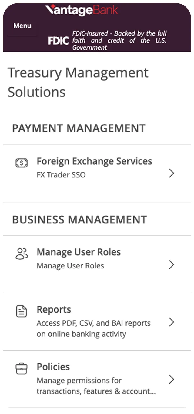 Treasury Management Solutions